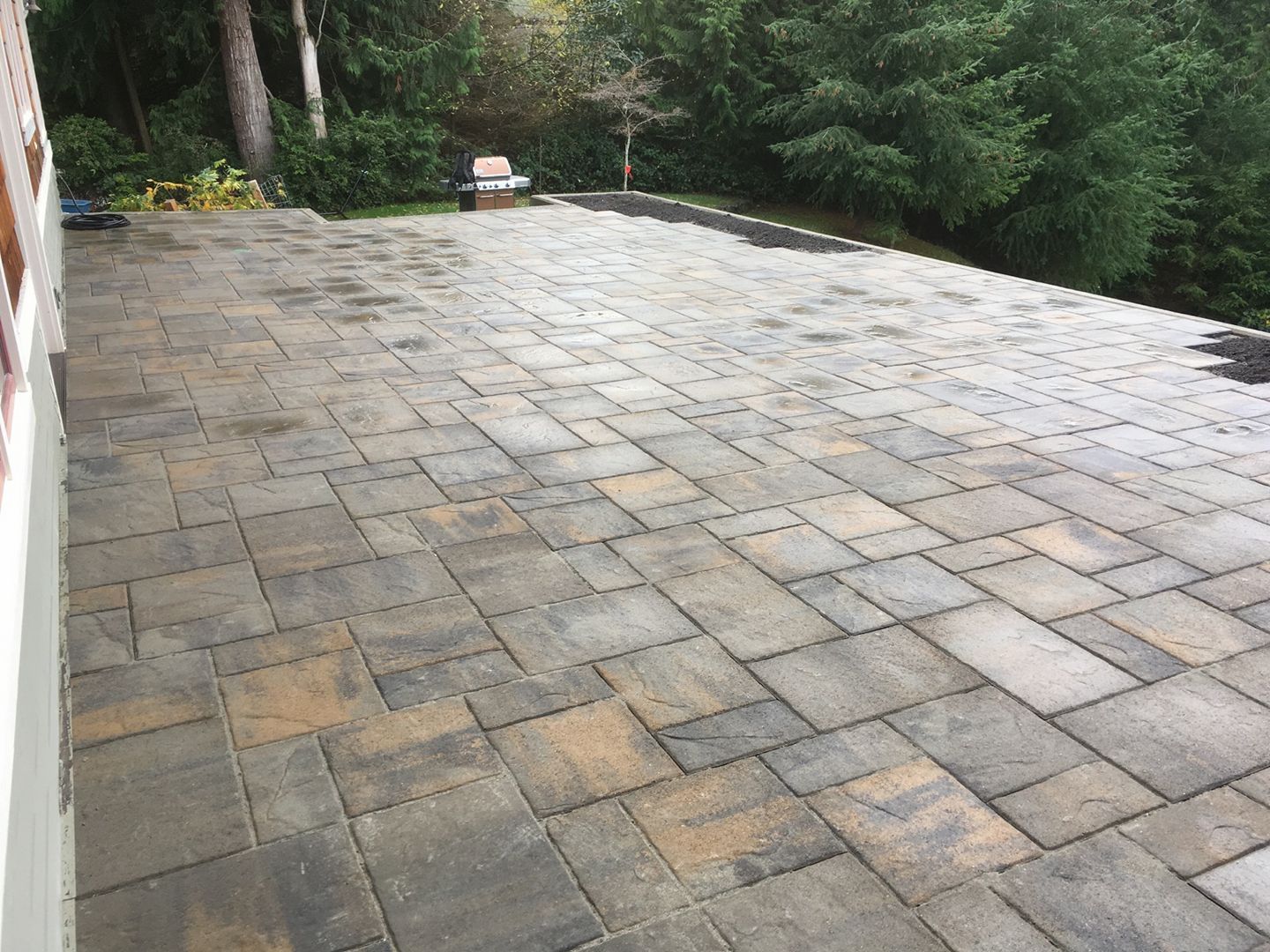 Stone patio paving beside a house, bordered by trees and greenery
