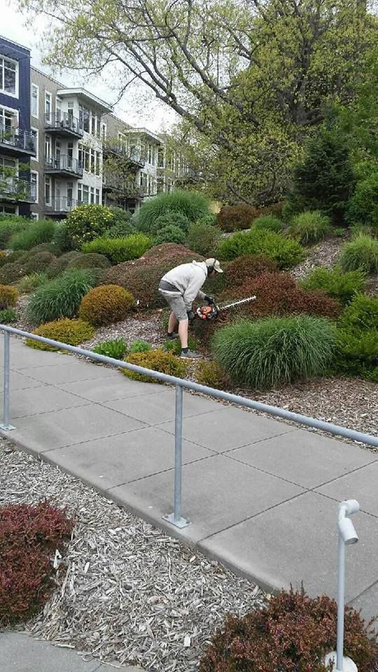 Person gardening on a sloped landscaped hill beside apartment buildings and a sidewalk.