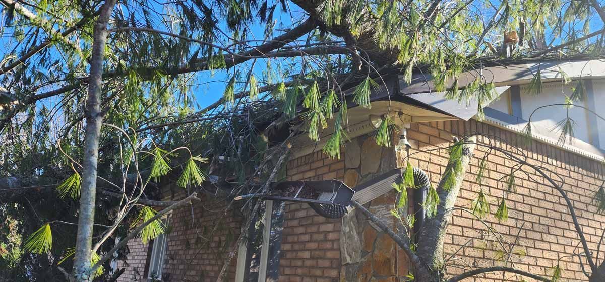 Brick building exterior partially obscured by tree branches and foliage.