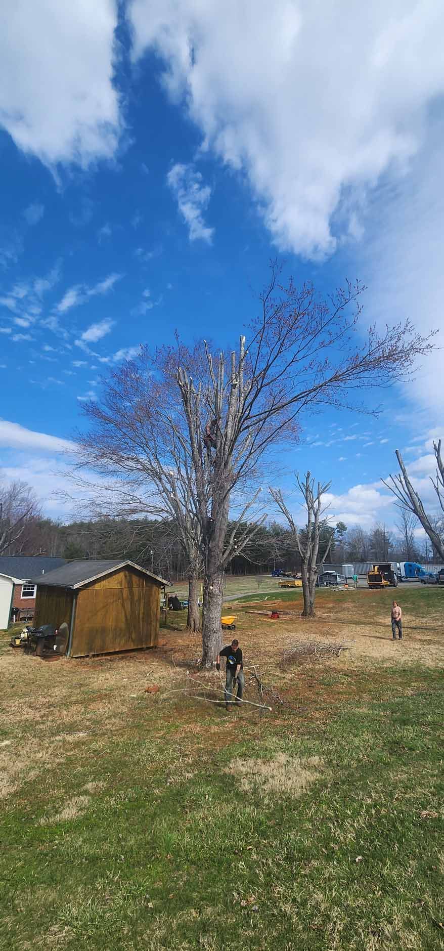 A sunny day scene featuring a tree, a small shed, a person in the yard, and some cell towers under a cloudy blue sky.