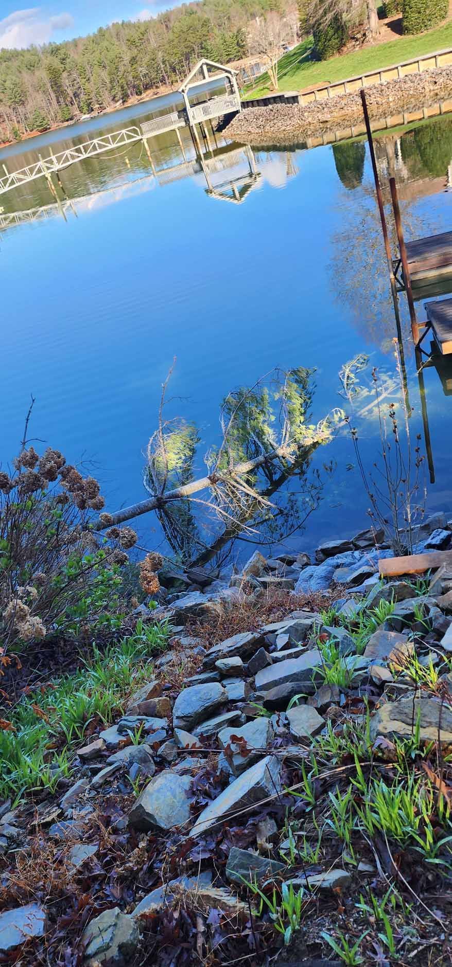 A body of water with a rocky shoreline, trees, and a dock.