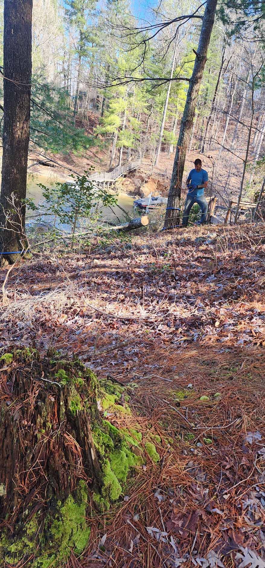 A person stands near a river in a forest. Brown leaves cover the ground and trees surround them.