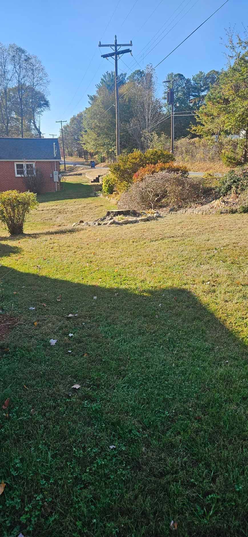 A grassy yard with a red building, trees, and power lines under a blue sky.