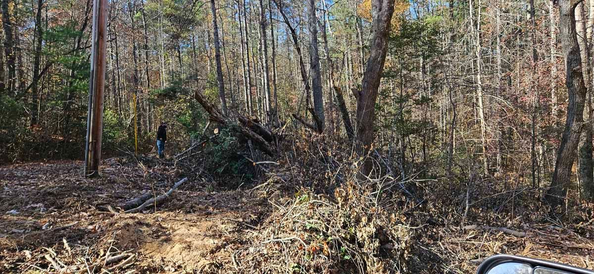 Wooded area with fallen trees, fallen leaves, and a utility pole.