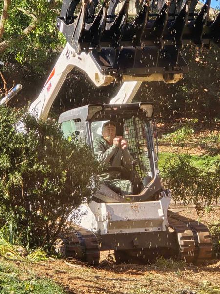 A person operates a Bobcat skid-steer clearing brush. Wood chips fly.