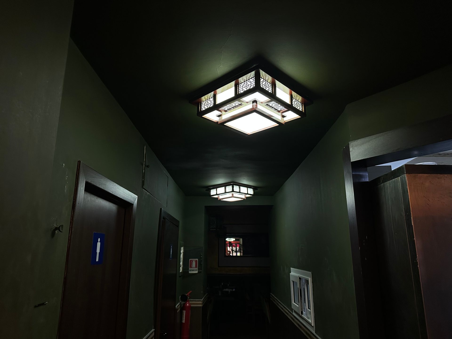 Corridoio poco illuminato, con pareti verde scuro, luci sul soffitto e porte chiuse a sinistra e a destra.