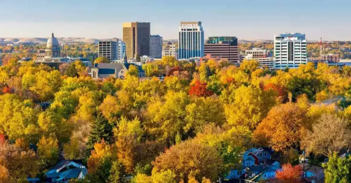 An aerial view of a city surrounded by trees and buildings.