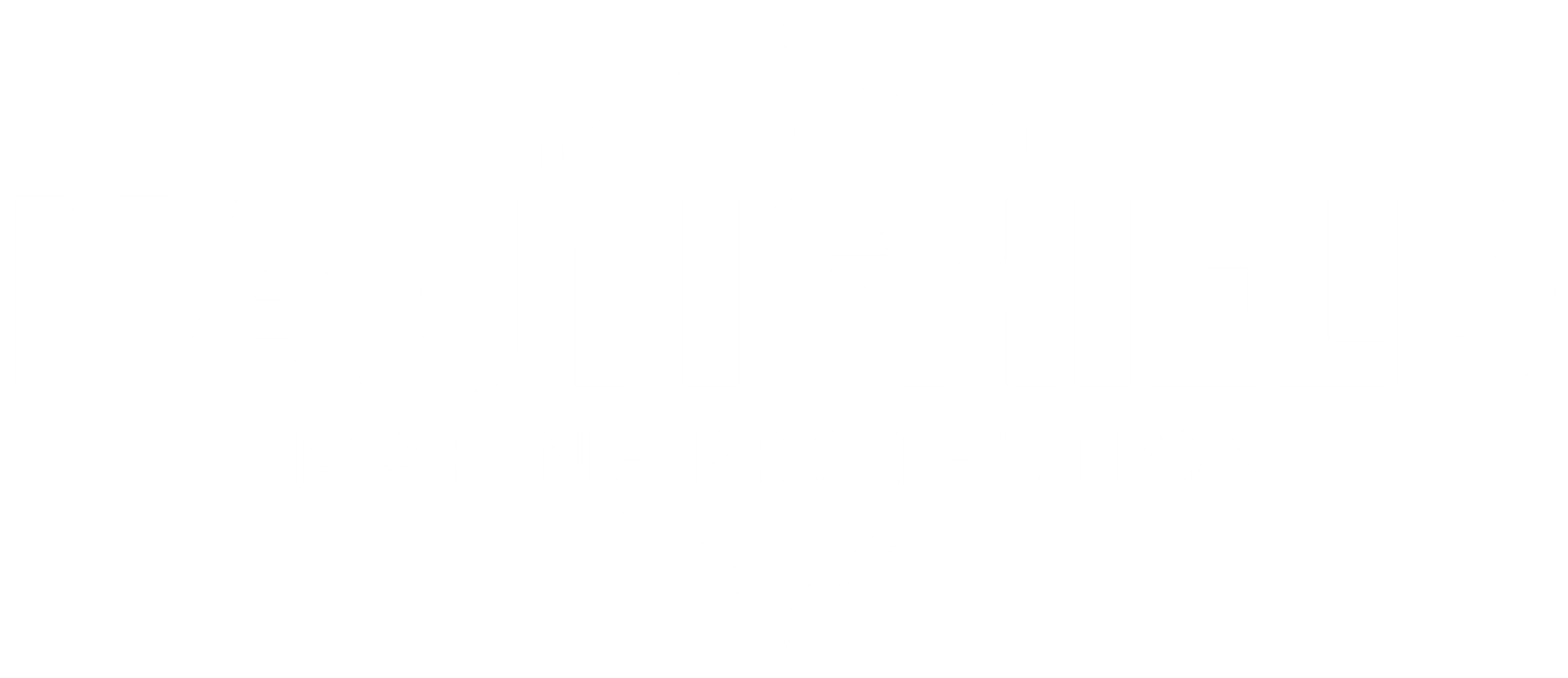 Chicago Auto Pros