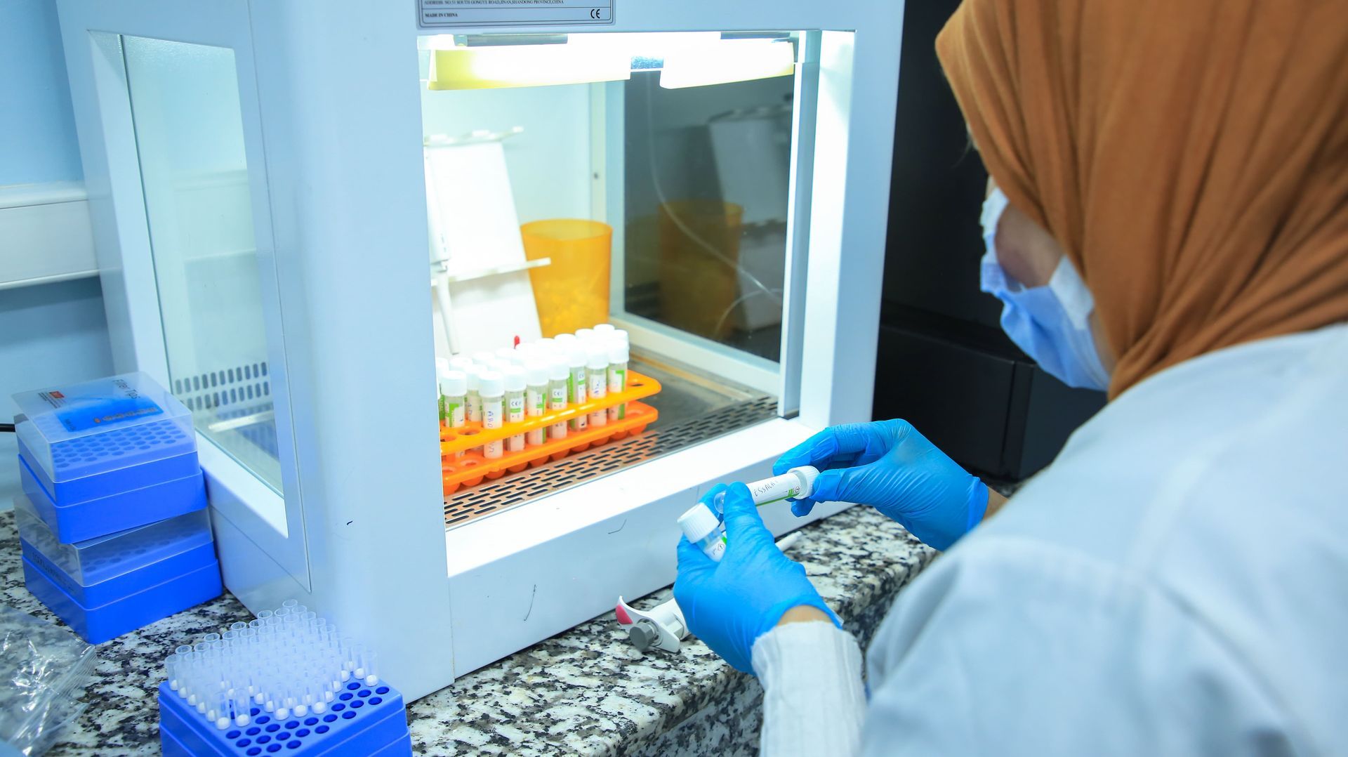Immunologie