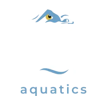 Eagle Aquatics logo