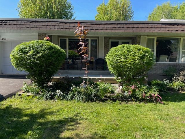 An after picture of a trimmed hedge