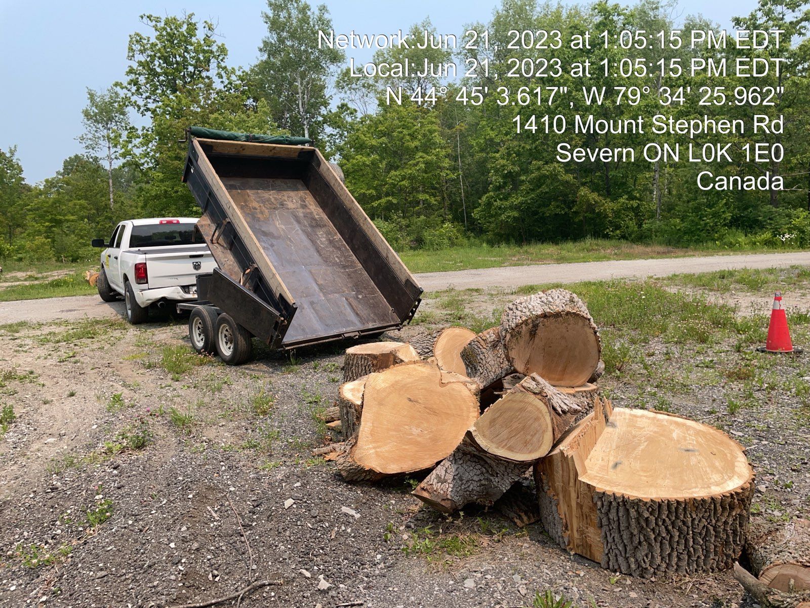 Tree trunk disposal