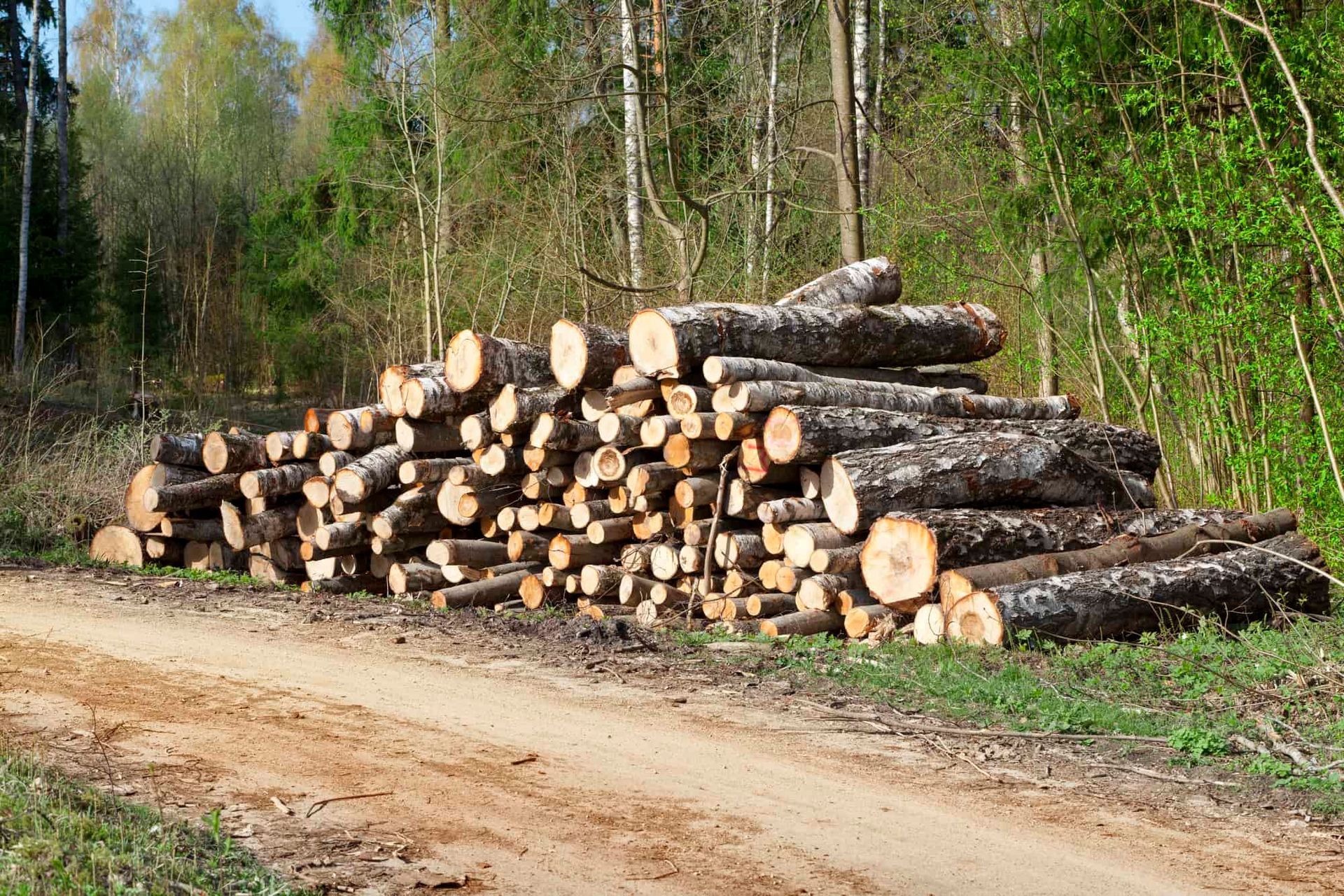 Logs from a commercial tree project