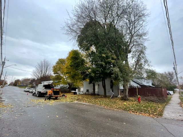 A tree chipper
