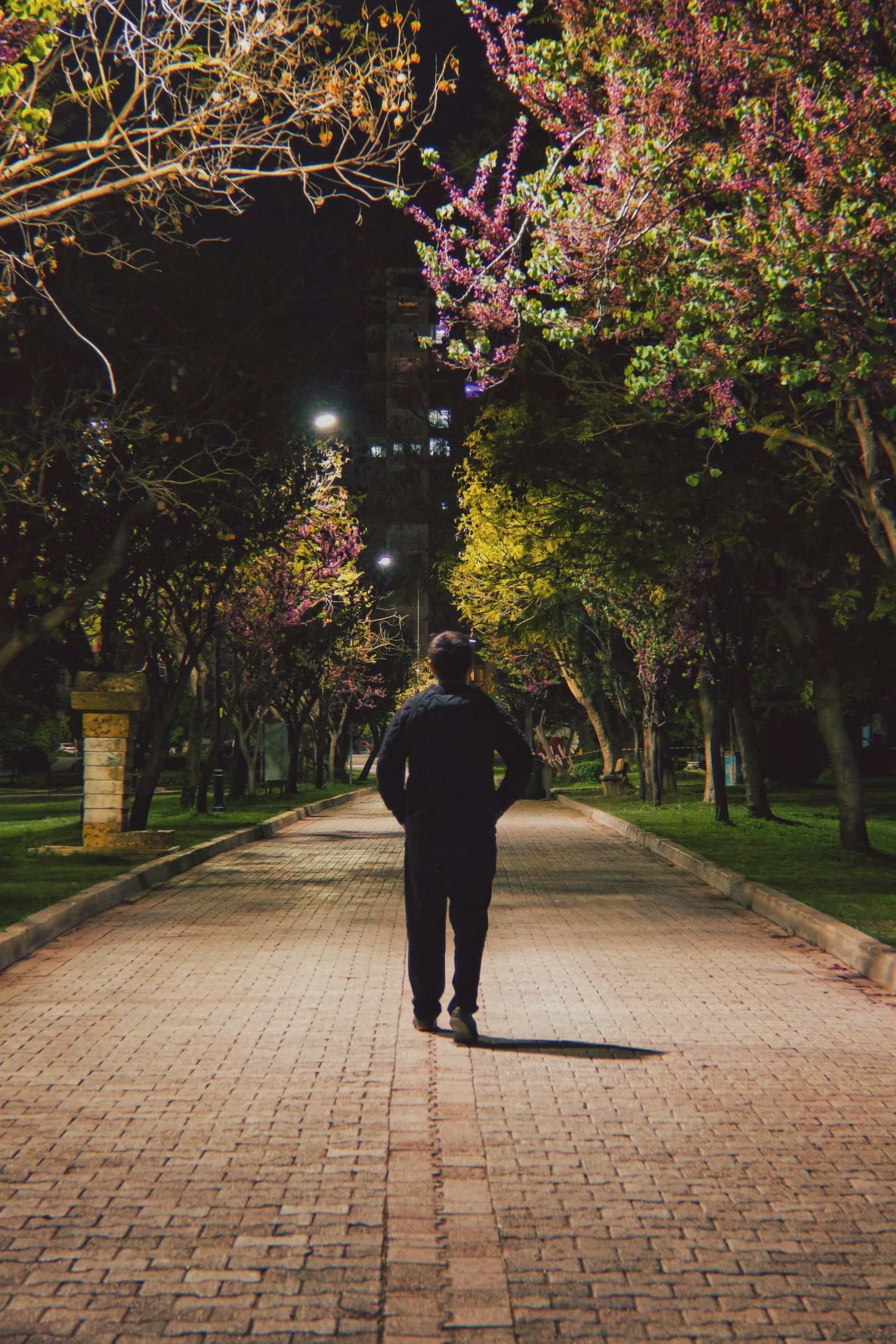 A person walks alone down a lit brick path under flowering trees at night.