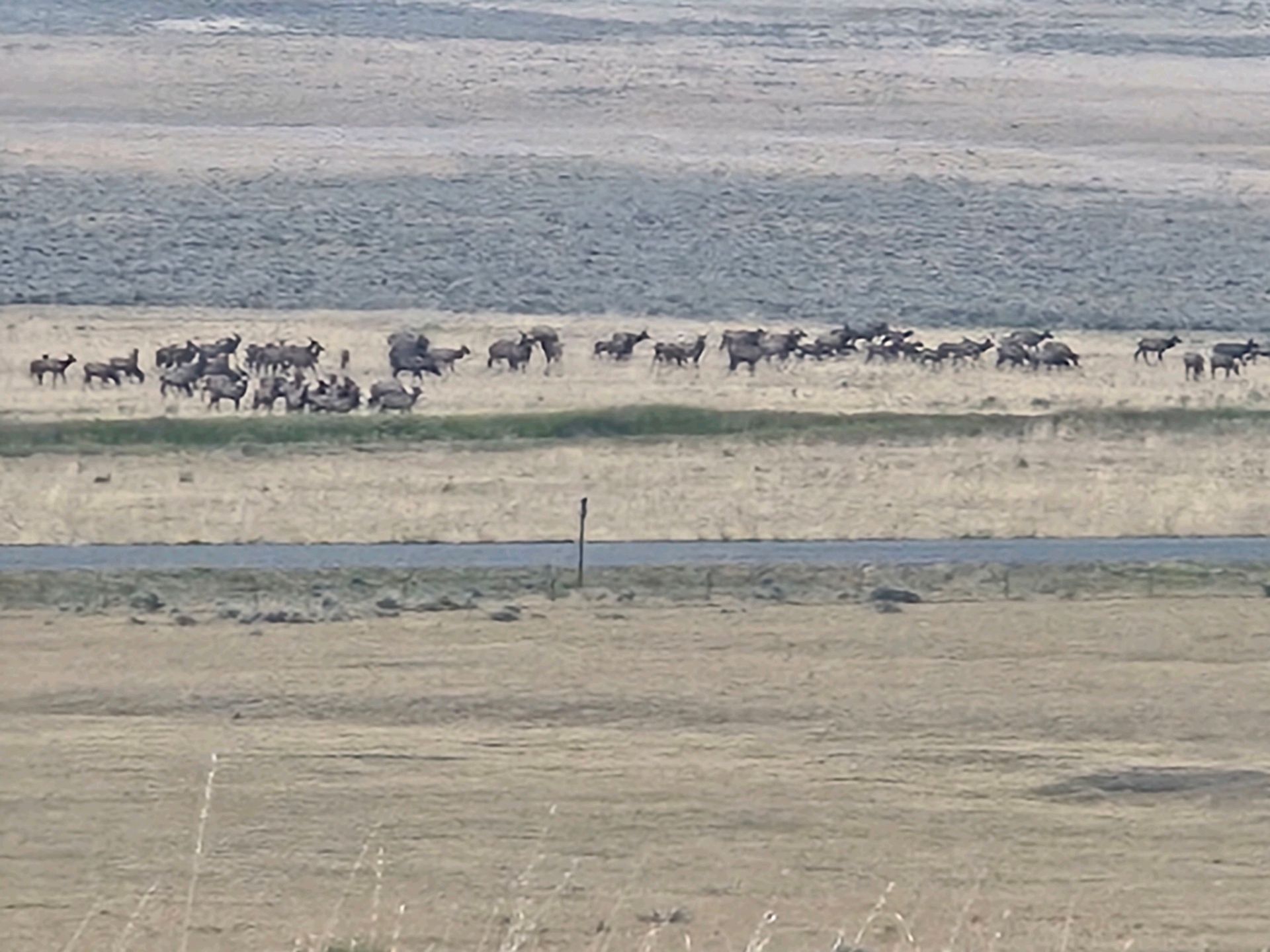 Center For Warriors Archery Elk Camp September 2024