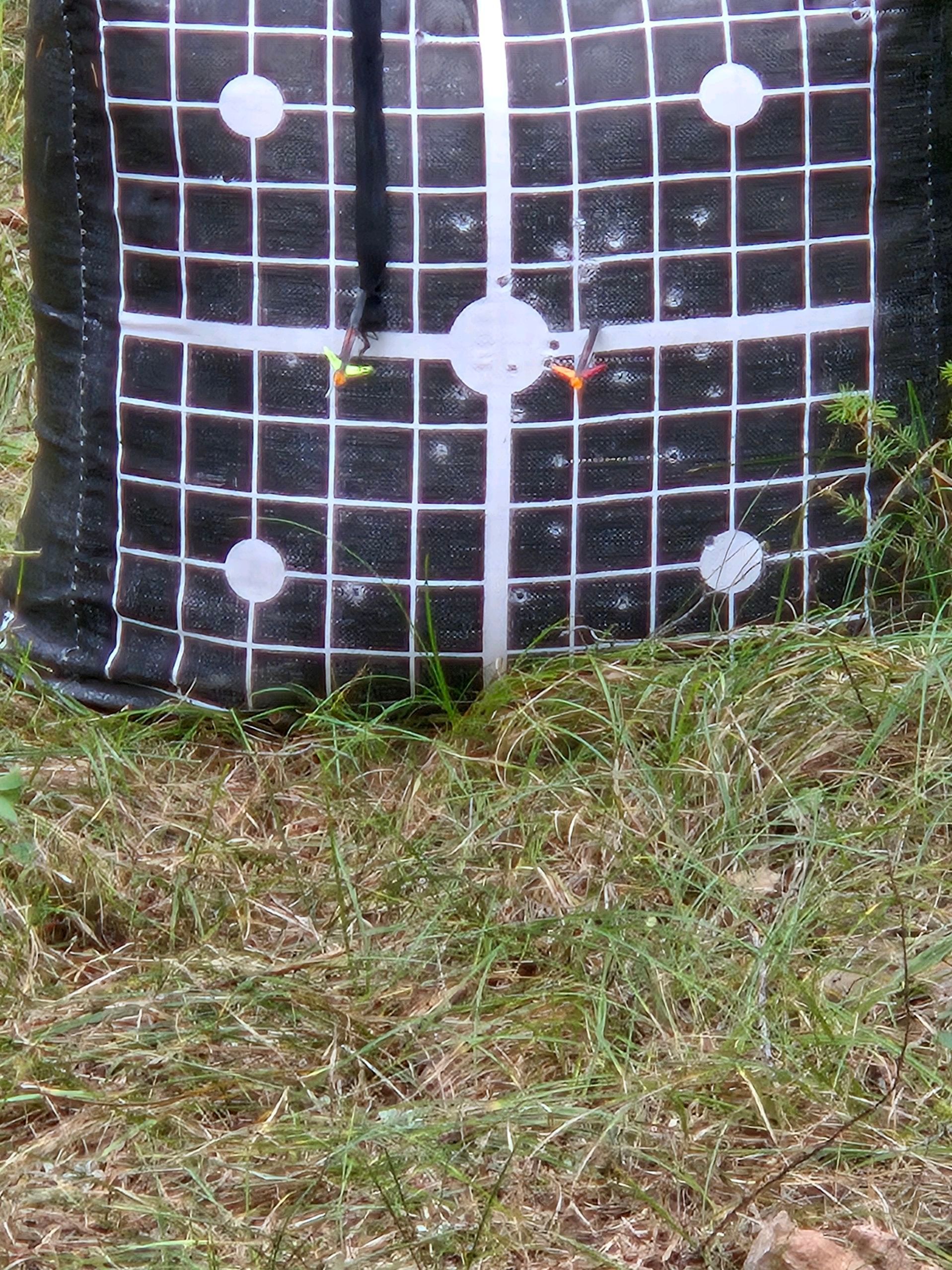 Center For Warriors Archery Elk Camp September 2024