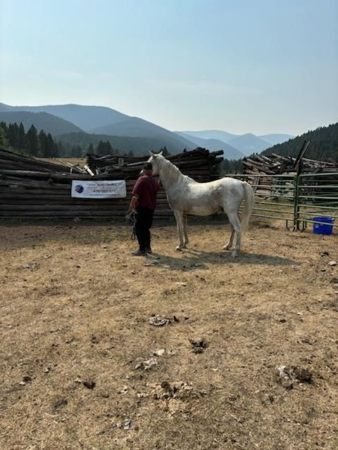 Center for Warriors Archery Elk Camp's Equestrian Therapy at camp September 2024