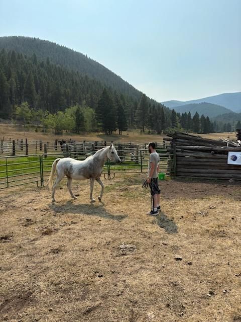 Center for Warriors Archery Elk Camp's Equestrian Therapy at camp September 2024