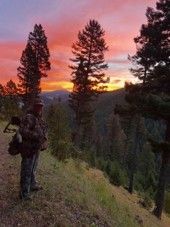 Center For Warriors Archery Elk Camp