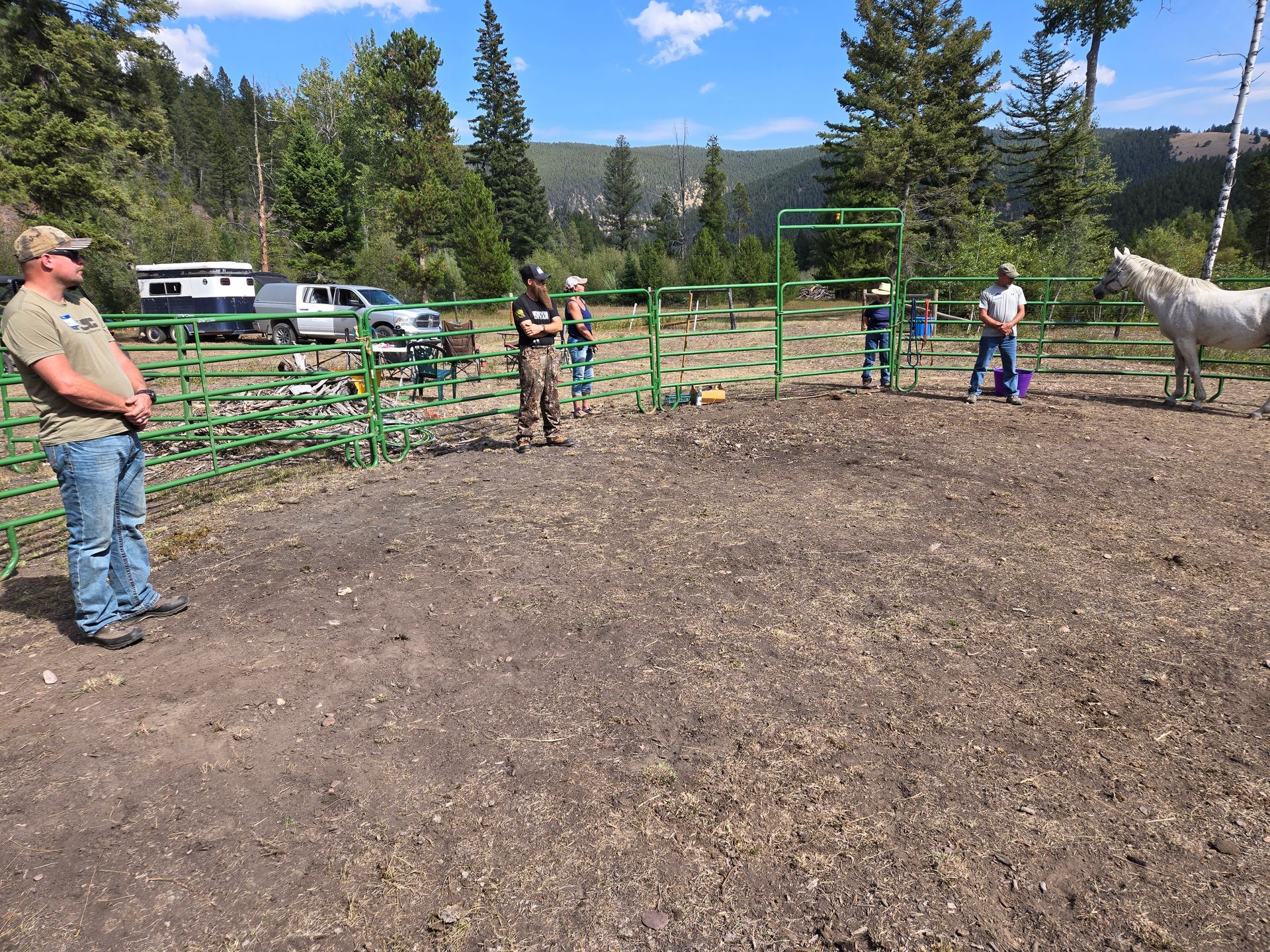 Archery Elk Camp 2025 Equine Therapy