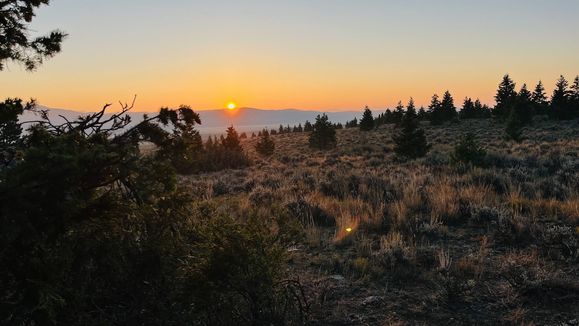 2025 Archery Elk Camp