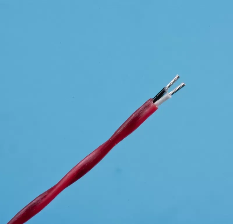A stripped red electrical cable on a blue background, revealing one black and one white insulated wire with exposed tips.
