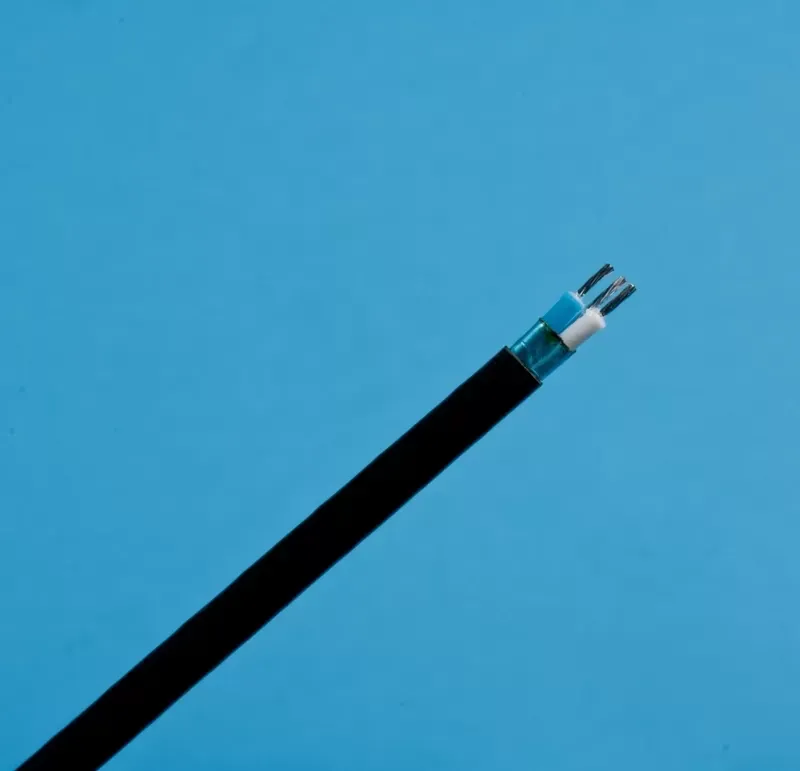 A black electrical cable stripped at the end, revealing blue and white internal wiring against a blue background.