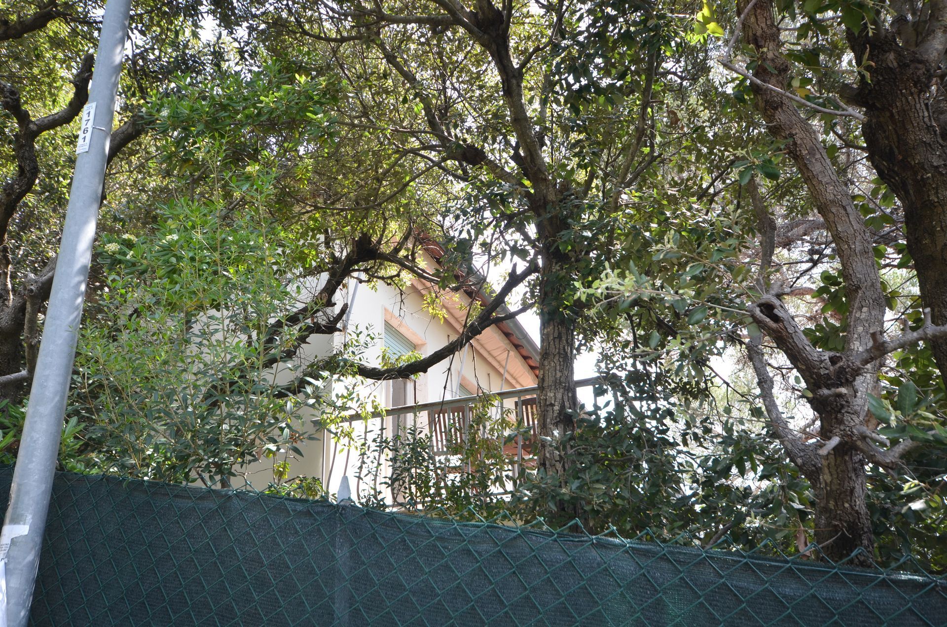 Alberi e una siepe verde nascondono parzialmente una casa dalla facciata chiara.