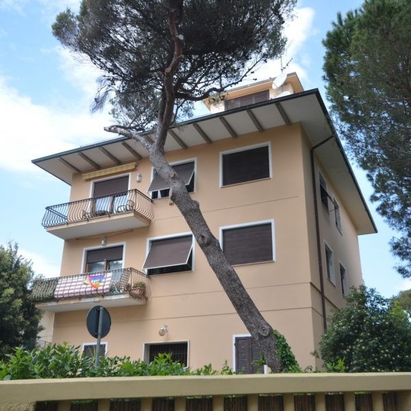 Palazzo di appartamenti inclinato con balconi e un pino pericolante in primo piano.