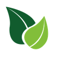 Two overlapping leaves, one dark green and one light green, on white background.