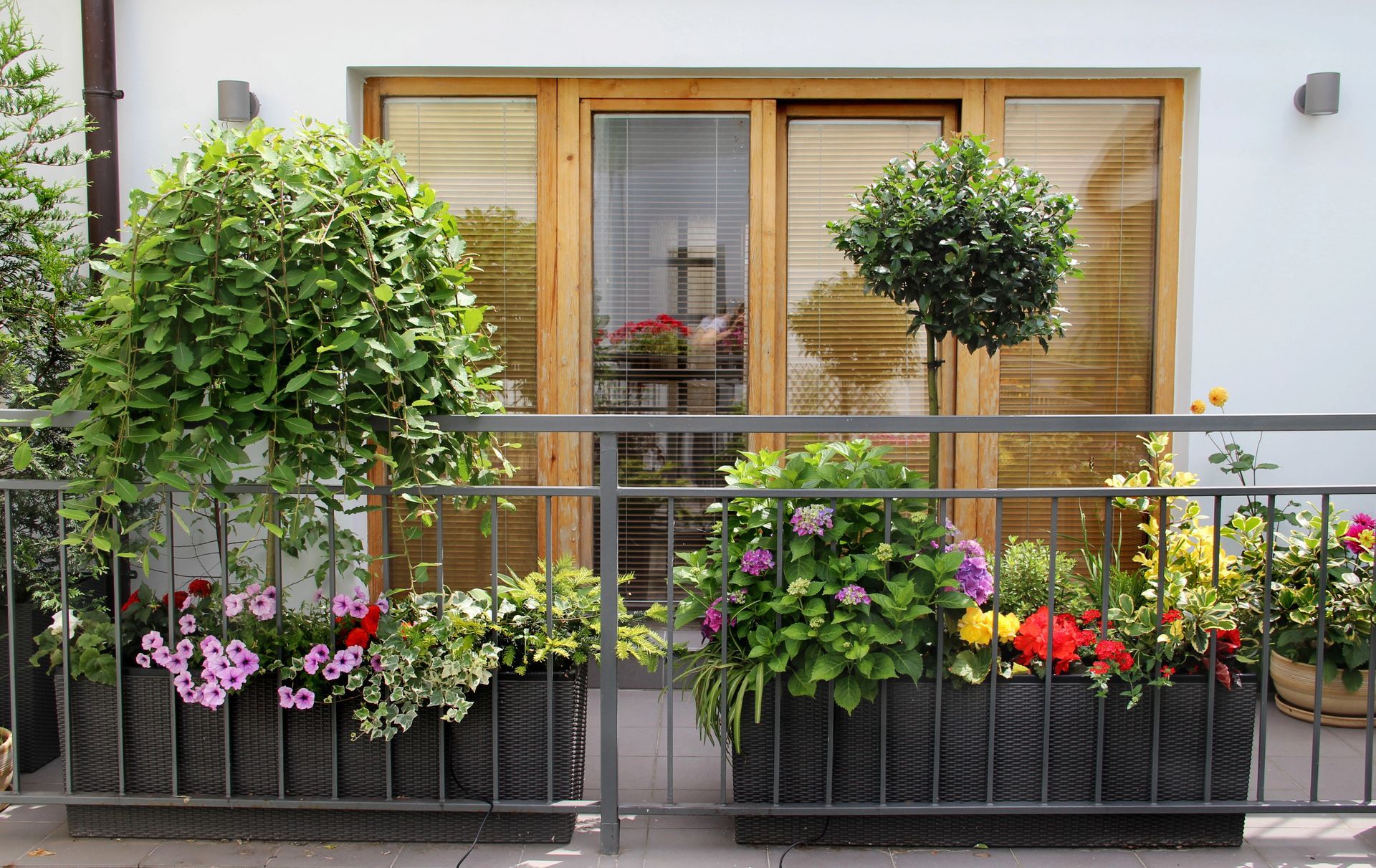 Balcone fiorito con arbusti in vaso, fiori rosa e rossi e porte in legno dietro una ringhiera in metallo.