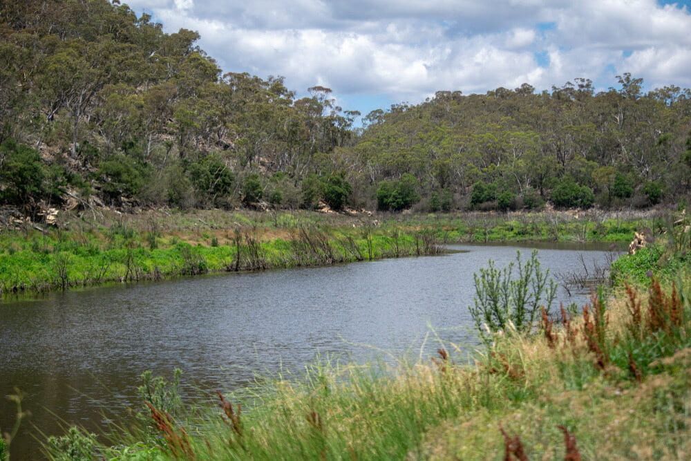 A Calm Body of Water Surrounded by Green Vegetation and a Hillside — Clearspan Builders In Bungendore, NSW