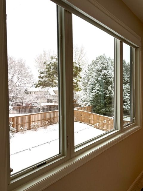 View from a window of a snow-covered backyard with trees and a wooden fence.