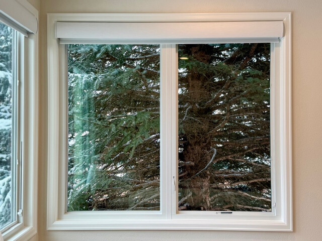 White-framed window looking out at a snowy fir tree. Roller shade is partially down.