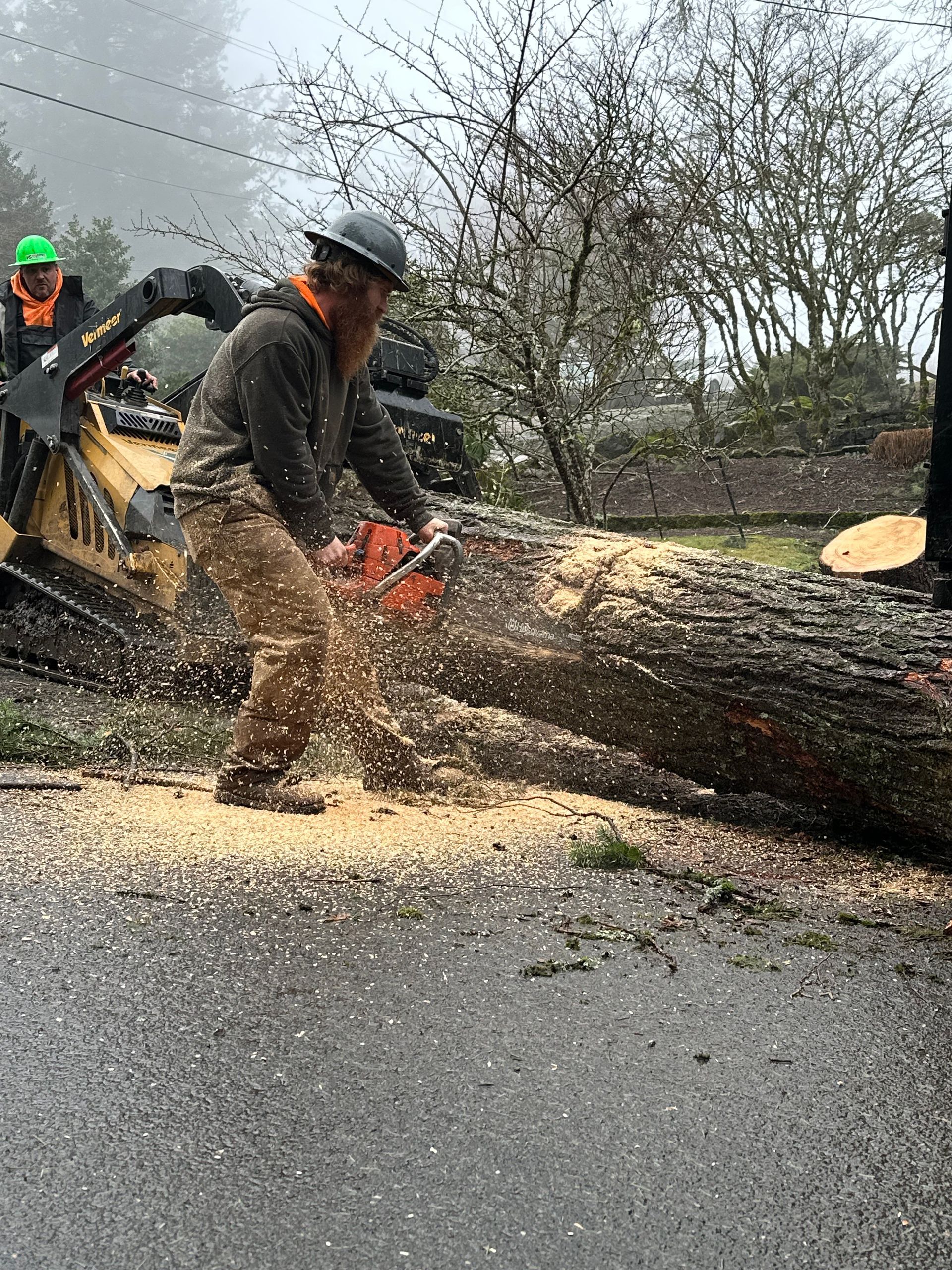 stump grinding rainier or stump grinding rainier or