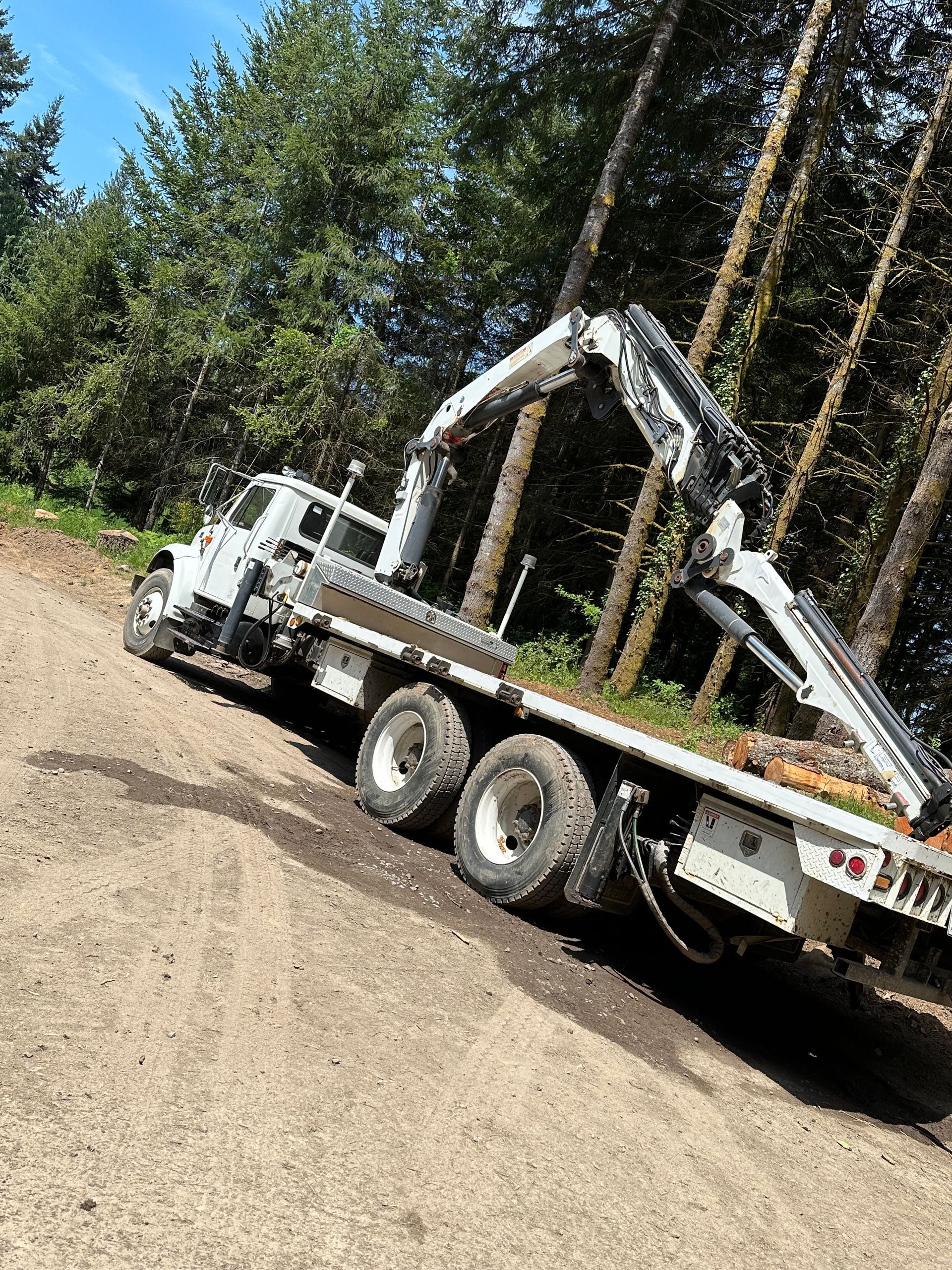 emergency tree service rainier or