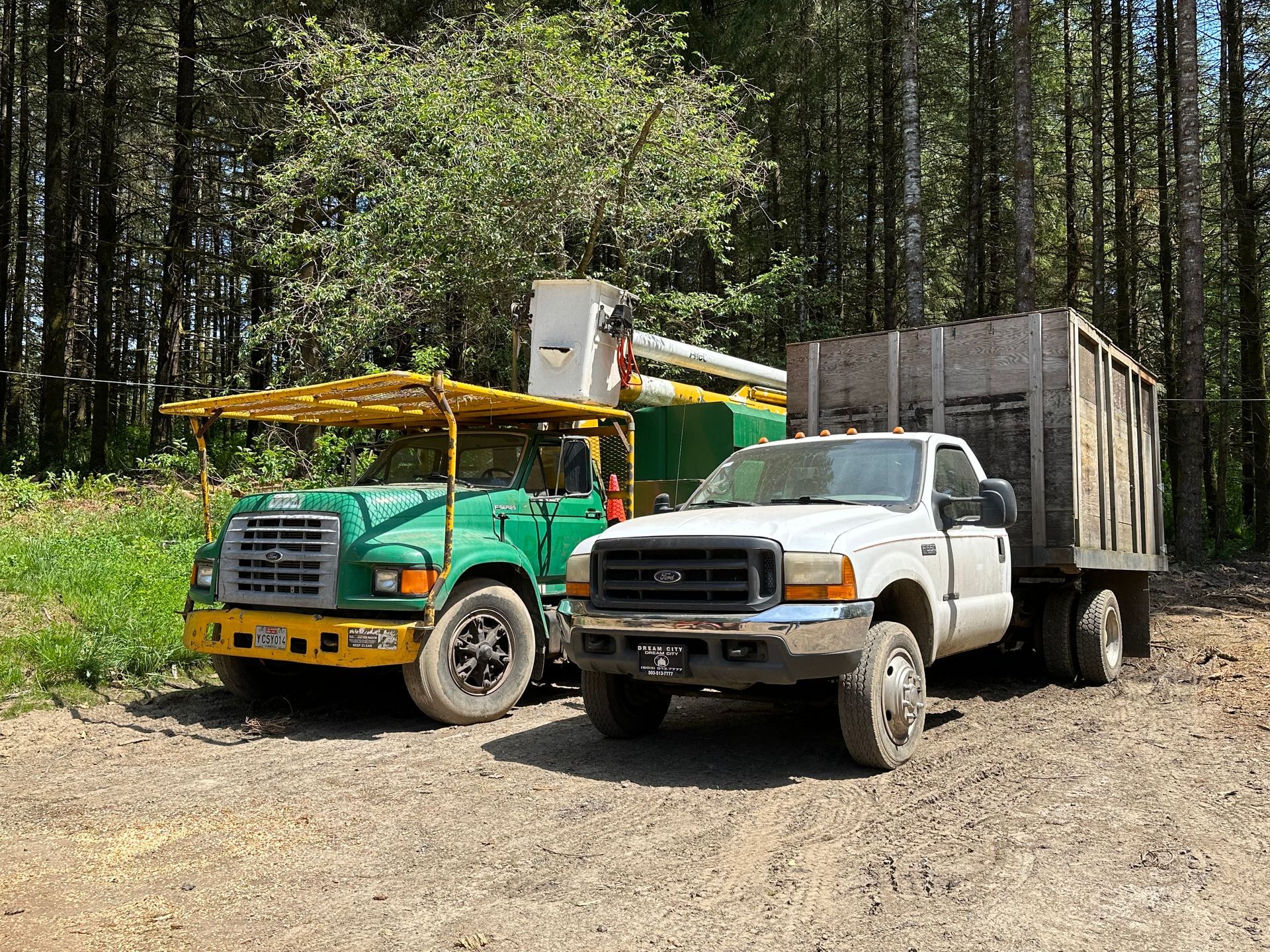 tree pruning rainier or tree pruning rainier or