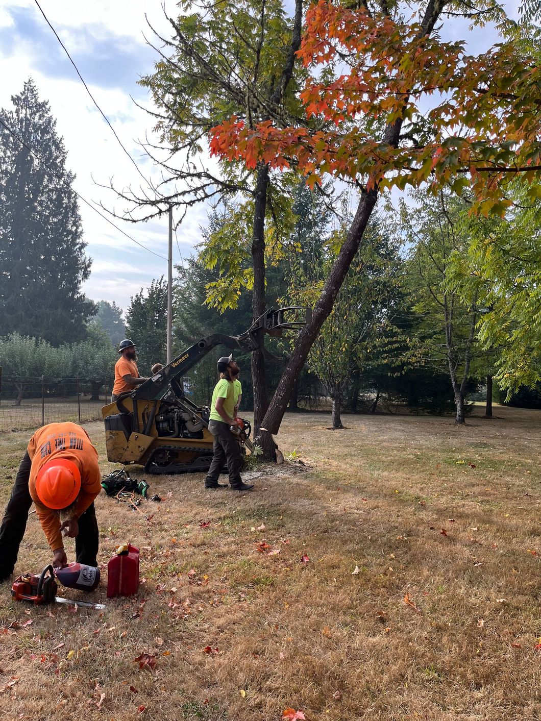 wood splitting rainier or wood splitting rainier or