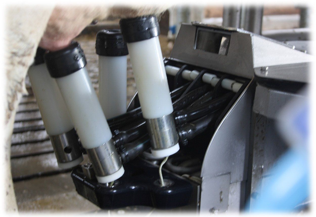 Robot merlin de l'entreprise fullwood