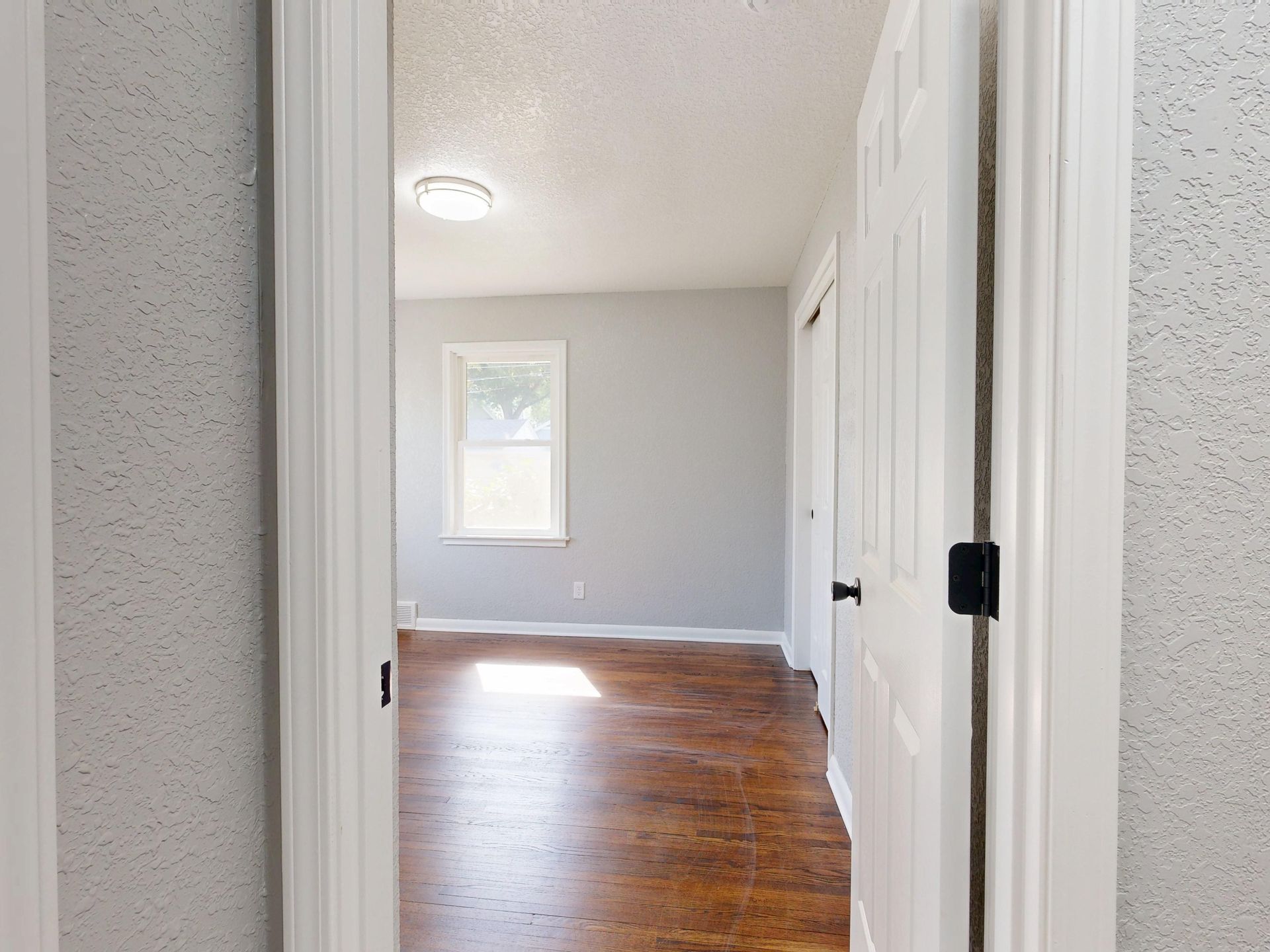 Empty hallway with gray walls, wood floor, white doors, and a small window at the far end