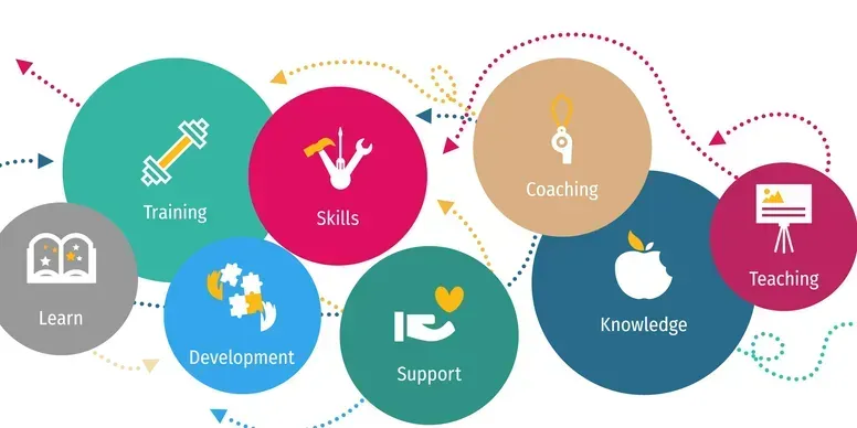 Colorful educational infographic with labeled circles: training, skills, coaching, support, development, knowledge, teaching, learn.