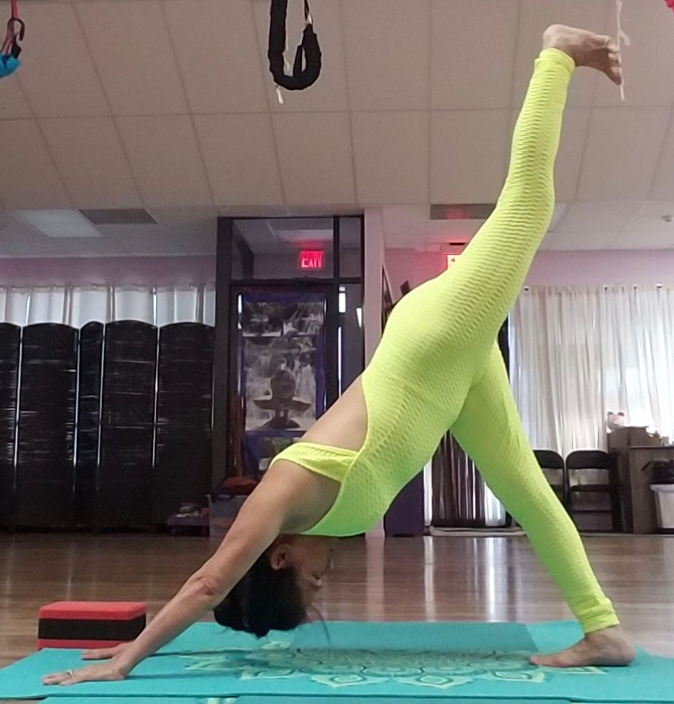 Sun Salutation 4th Sequence 3rd Pose