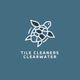 A logo for tile cleaners clearwater with a turtle on a blue background.
