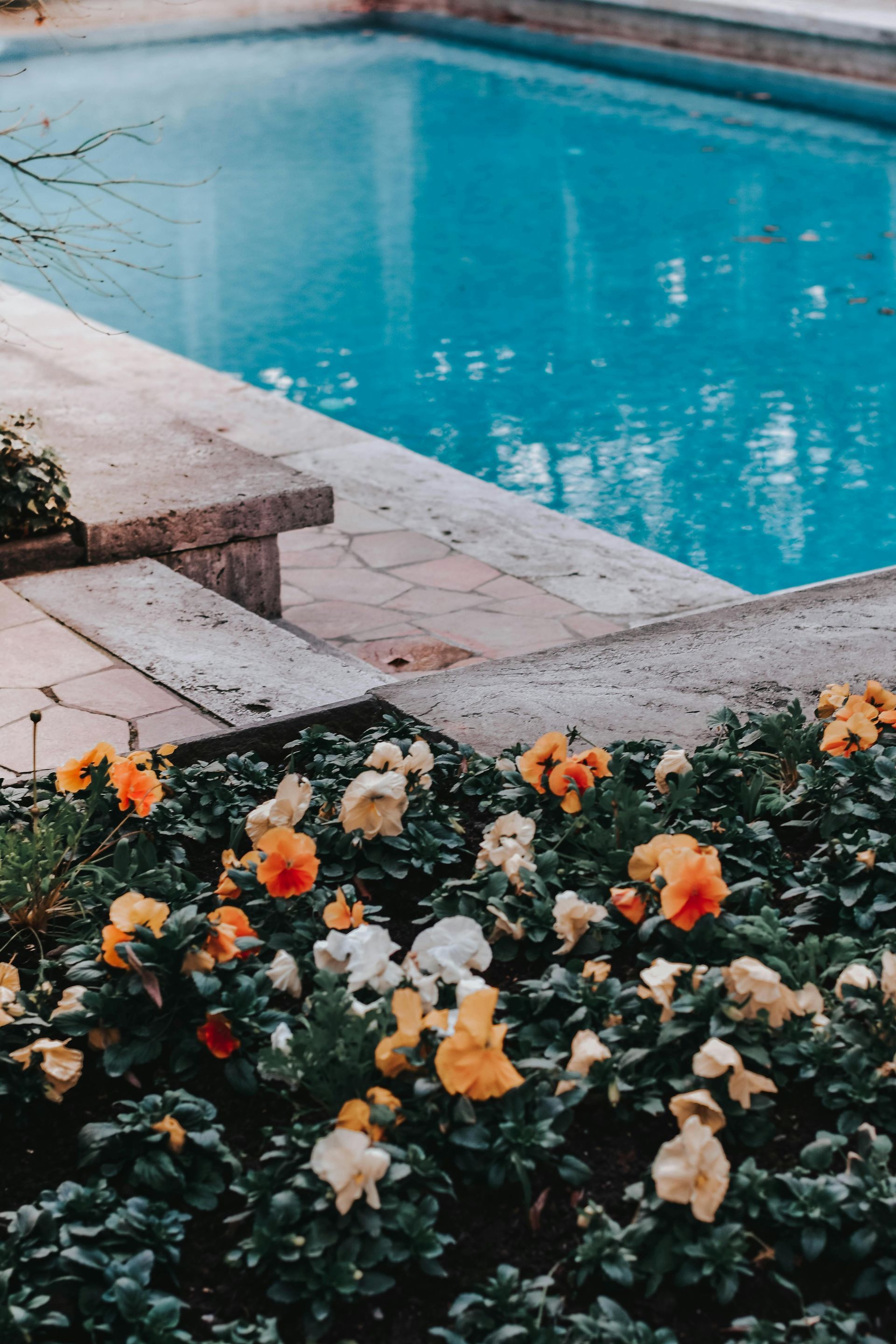 Flowers in bloom border a swimming pool.