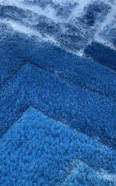 Abstract blue zig-zag pattern, likely a textured rug or textile.