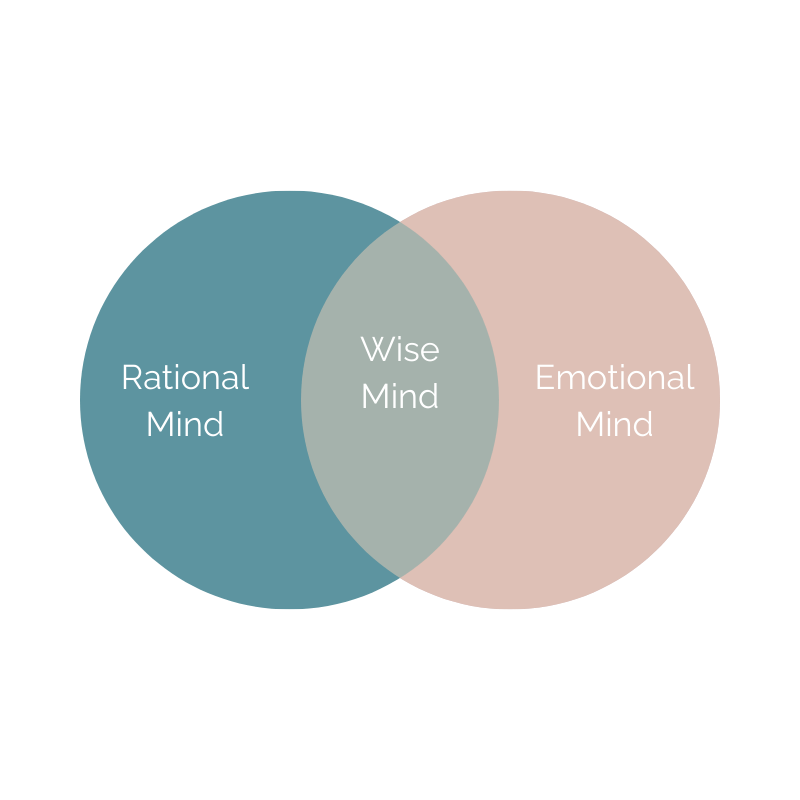 Venn diagram of Rational Mind and Emotional Mind overlapping in a Wise Mind center, in teal and pink.