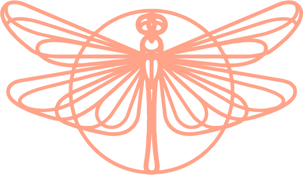 Abstract coral line-art of a dragonfly with symmetrical wings on a white background