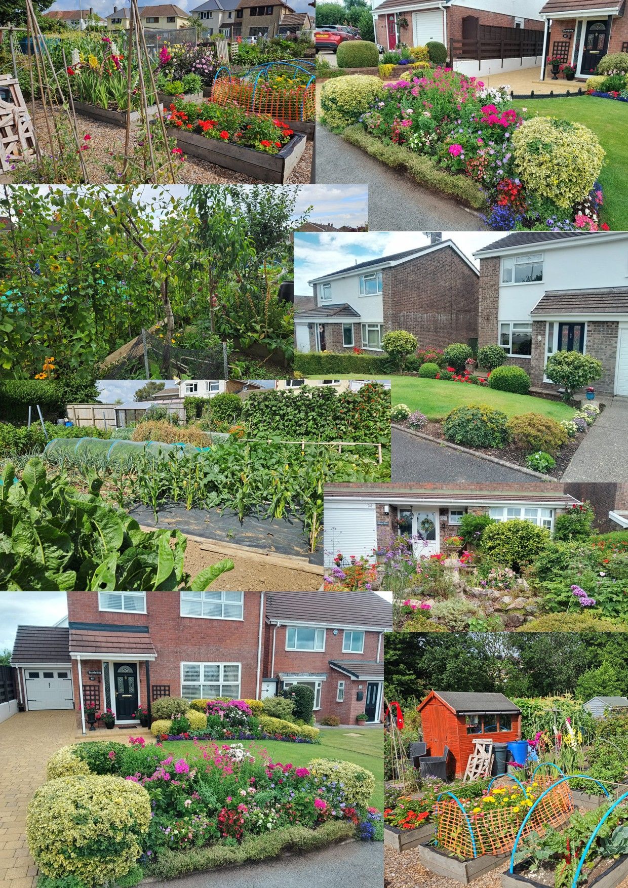 A collage of colorful gardens in front of houses; vegetable patches, flower beds, and shrubs are visible.