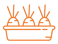 ALLOTMENTS